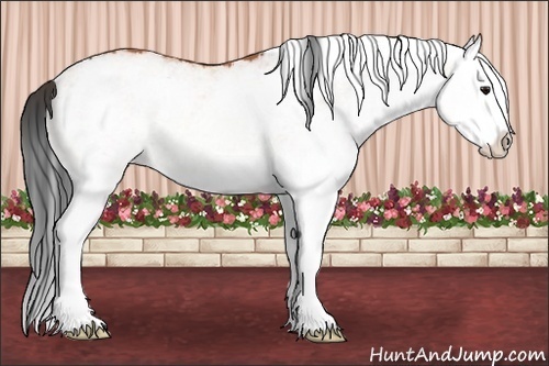 Horse Color:White Spotted Bay Splash 