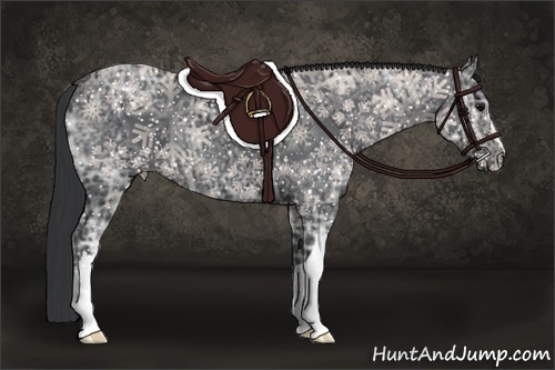 Horse Color:Black Ice 