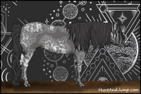 Horse Color:Smoky Black Ice 