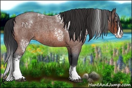 Horse Color:White Spotted Bay Roan Splash 