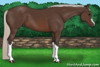 Horse Color:Silver Brown 