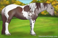 Horse Color:Chocolate Black Tobiano 