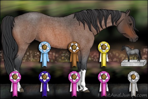 Horse Color:Bay Roan 