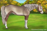 Horse Color:Silver Blue Onyx Splash Rabicano