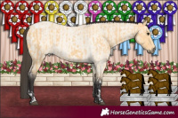 Horse Color:Buckskin Tobiano  and Buckskin Roan 