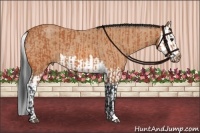 Horse Color:Bay  and Bay Roan Splash 