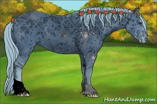 Horse Color:ERROR: UNKNOWN ANOMALY