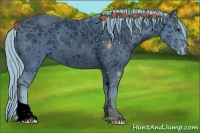 Horse Color:ERROR: UNKNOWN ANOMALY