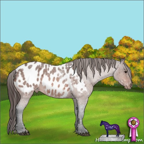 Horse Color:Bay Roan Near Leopard