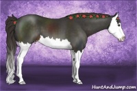Horse Color:Liver Chestnut Sabino Splash 