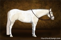 Horse Color:Chocolate Palomino Pearl Dun Tobiano Frame  and Chocolate Palomino Pearl Dun Tobiano Frame Rabicano 