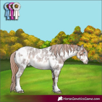 Horse Color:White Spotted Chocolate Palomino Pearl Sabino  and Liver Red Roan Sabino Near Leopard 
