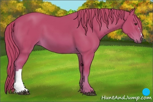 Horse Color:Watercolor Chestnut 