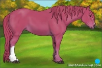 Horse Color:Watercolor Chestnut 