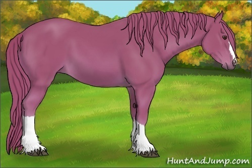 Horse Color:Watercolor Chestnut 