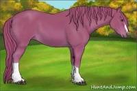 Horse Color:Watercolor Chestnut 
