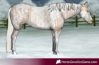 Horse Color:Chocolate Palomino Pearl Tobiano Frame  and Gold Cream Champagne Pearl Tobiano Frame 