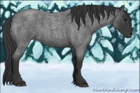 Horse Color:Blue Roan 