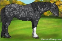 Horse Color:Black Ice 