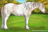 Horse Color:Chocolate Palomino Pearl Tobiano Frame  and Chocolate Palomino Pearl Dun Tobiano Frame 