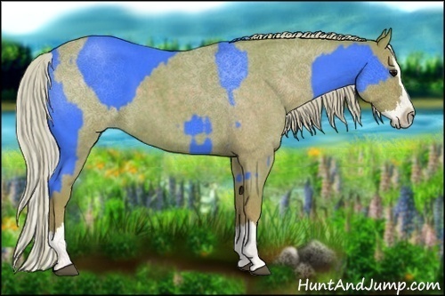 Horse Color:Watercolor Blue Roan Sabino Splash  and Watercolor Silver Blue Roan Sabino Splash 