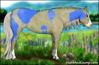 Horse Color:Watercolor Blue Roan Sabino Splash and Watercolor Silver Blue Roan Sabino Splash