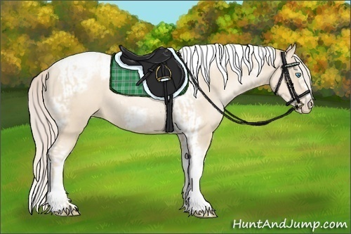 Horse Color:Gold Cream Champagne Pearl Tobiano Frame  and Gold Cream Champagne Pearl Splash Tobiano Frame 