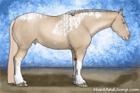 Horse Color:Chocolate Palomino Pearl Tobiano Frame and Chocolate Palomino Pearl Tobiano Frame