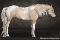 Horse Color:Chocolate Palomino Pearl Tobiano Frame and Chocolate Palomino Pearl Tobiano Frame