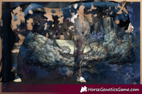 Horse Color:Chocolate Palomino Pearl Tobiano Frame and ERROR: UNKNOWN ANOMALY