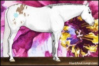 Horse Color:Silver Buckskin Splash Frame Snowflake Varnish