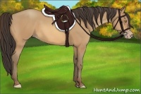 Horse Color:Amber Champagne