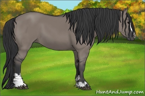 Horse Color:Grullo Sabino 