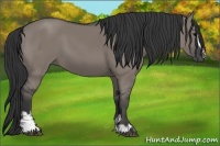 Horse Color:Grullo Sabino 