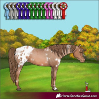 Horse Color:White Spotted Liver Chestnut Pearl Varnish