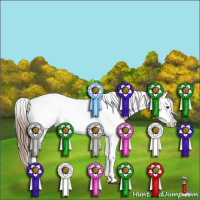 Horse Color:White Spotted Liver Chestnut Pearl Appaloosa 