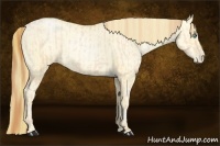 Horse Color:Buckskin Roan Pearl and Buckskin Roan Pearl