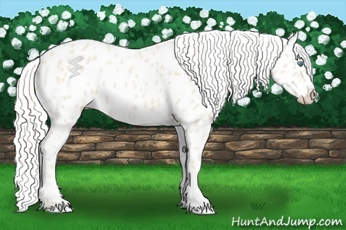 Horse Color:Cremello Leopard