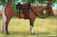 Horse Color:Silver Bay 