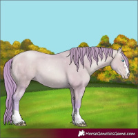 Horse Color:Watercolor Buckskin Pearl 