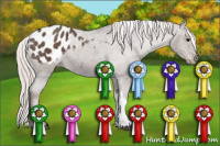 Horse Color:Silver Black Appaloosa