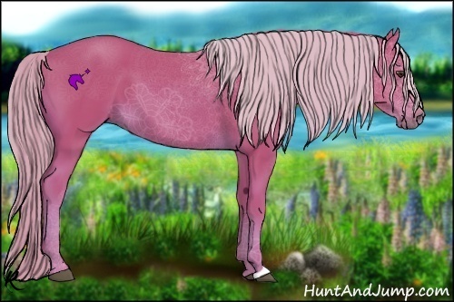 Horse Color:Watercolor Chestnut