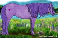 Horse Color:Watercolor Smoky Grullo 