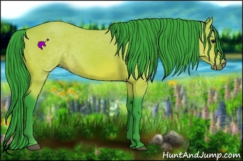 Horse Color:Watercolor Bay Rabicano 