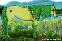 Horse Color:Watercolor Bay Rabicano