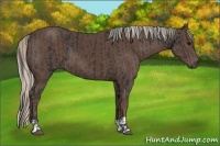 Horse Color:Black and Silver Black