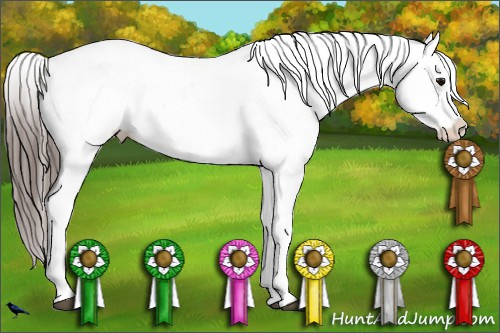 Horse Color:Black Varnish