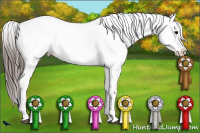 Horse Color:Black Varnish