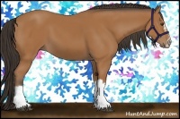 Horse Color:Bay Splash Frame