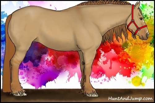 Horse Color:Red Dun 